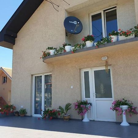 Stan Na Dan Oplenac Apartment Topola Екстериор снимка